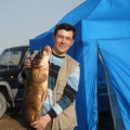 Трофей Сазан